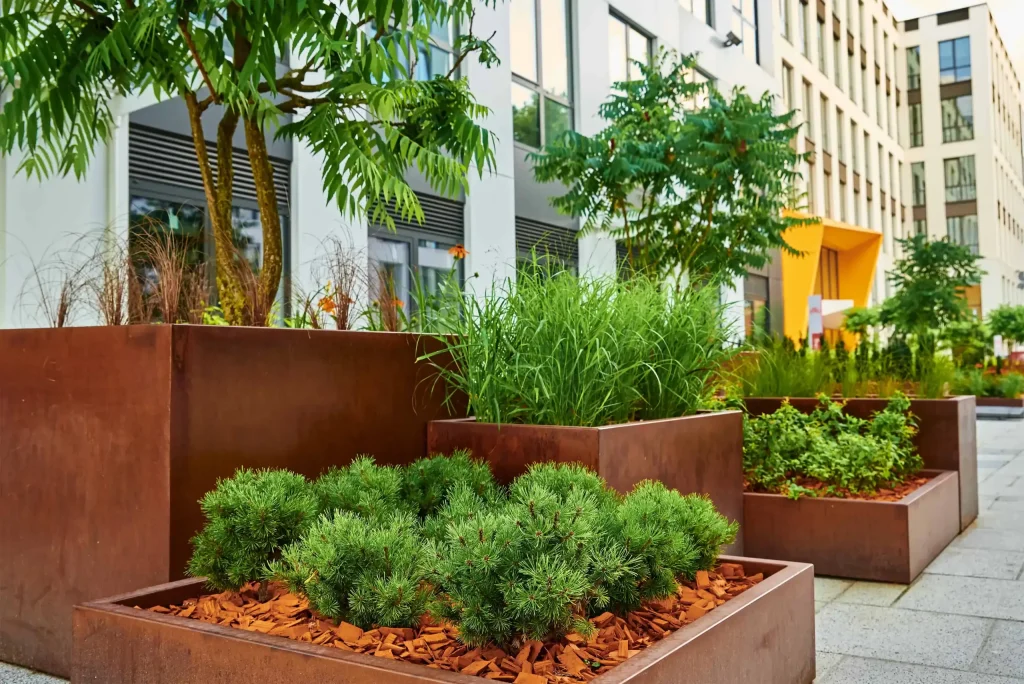 Cortenstaal plantenbakken project met grassen en bodembedekkers